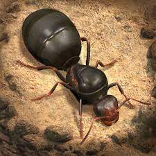 The Ants Underground Kingdom APK icon